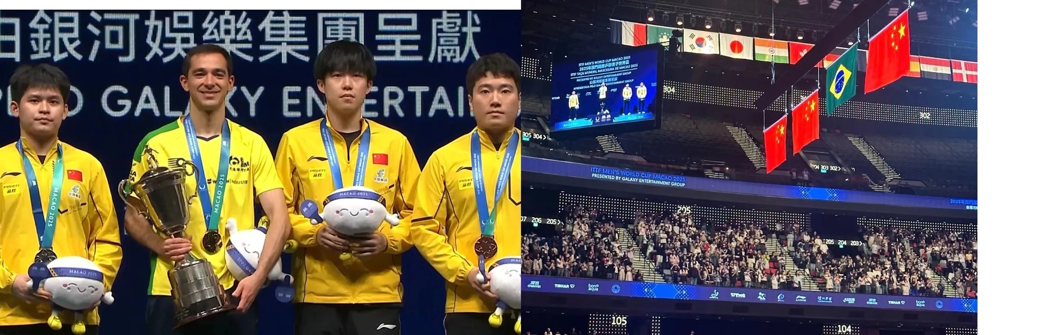 开云体育官网-法国乒乓球队完胜瑞典乒乓球队，水谷隼送出助攻的简单介绍